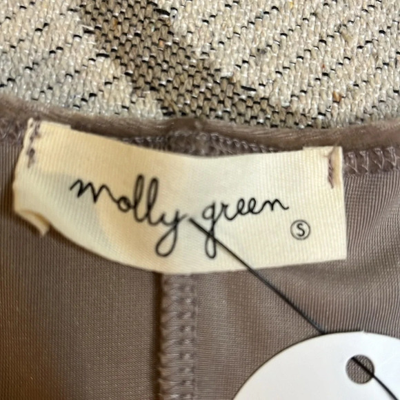 Molly Green Lindsay mushroom velour sleeveless swing mini dress - Picture 8 of 13